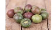 Le nergi, le kiwi miniature qui a tout bon 