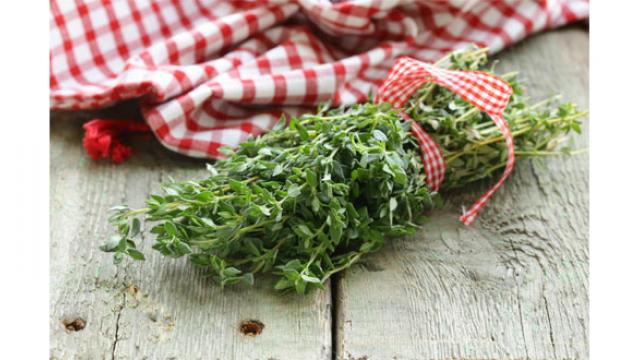 Le thym : un véritable allié de votre santé