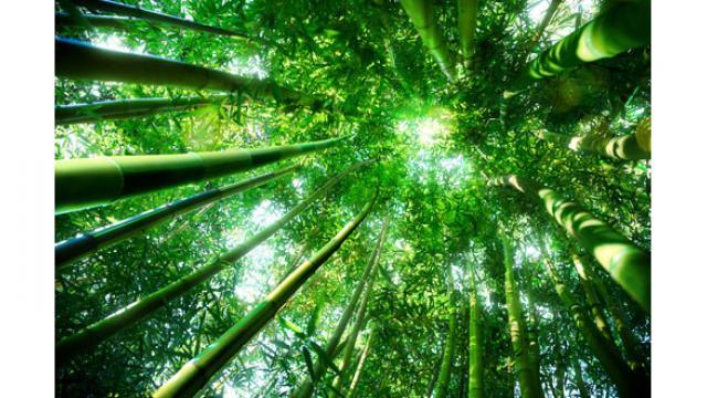 Le Feng-Shui, qu'est-ce que c'est ?