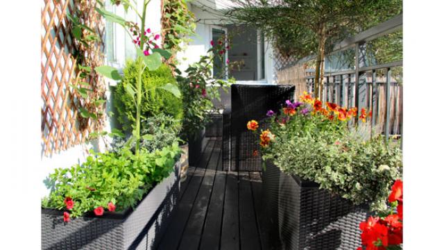 Jardiner sur son balcon