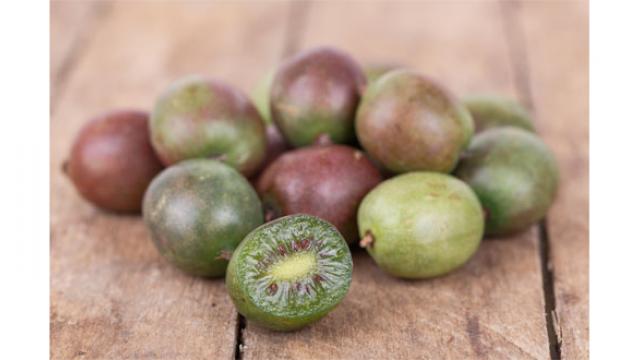 Le nergi, le kiwi miniature qui a tout bon 