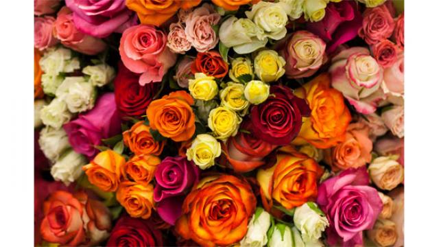 La signification des fleurs : dites-le avec un bouquet !