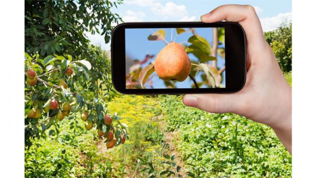 Quand le smartphone entre au jardin